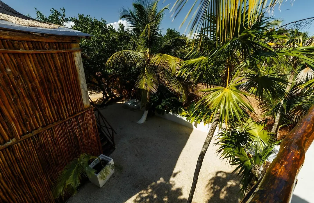 Eco Banitas Tulum-1