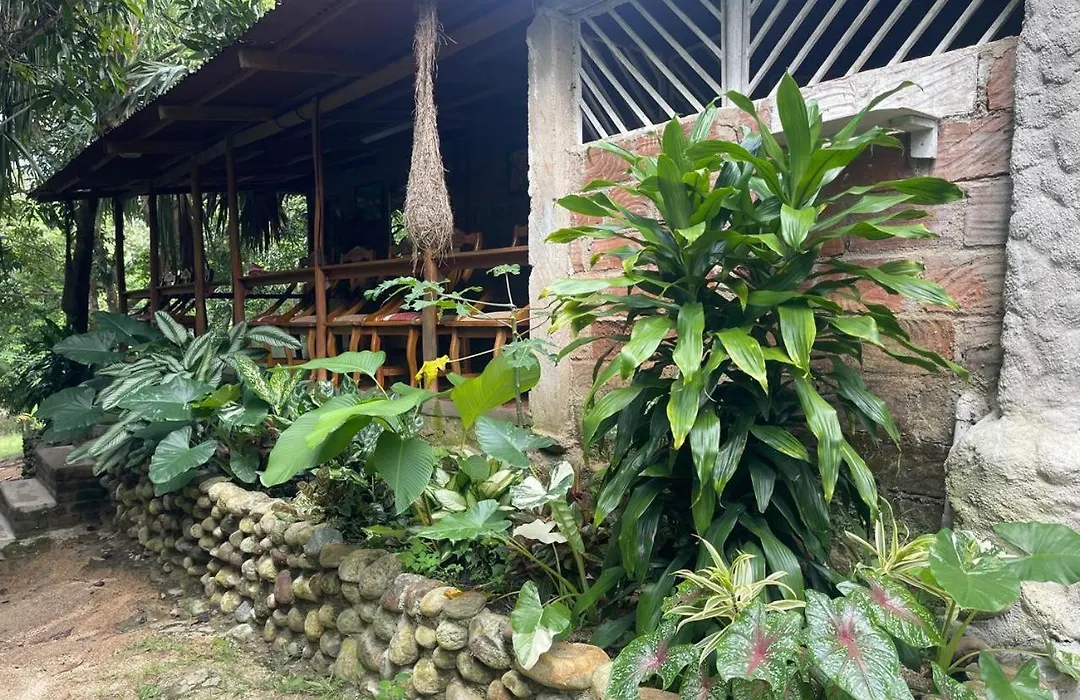 Casa Danam-1