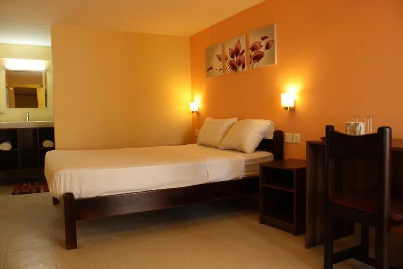 Le Cactus Guesthouse-1