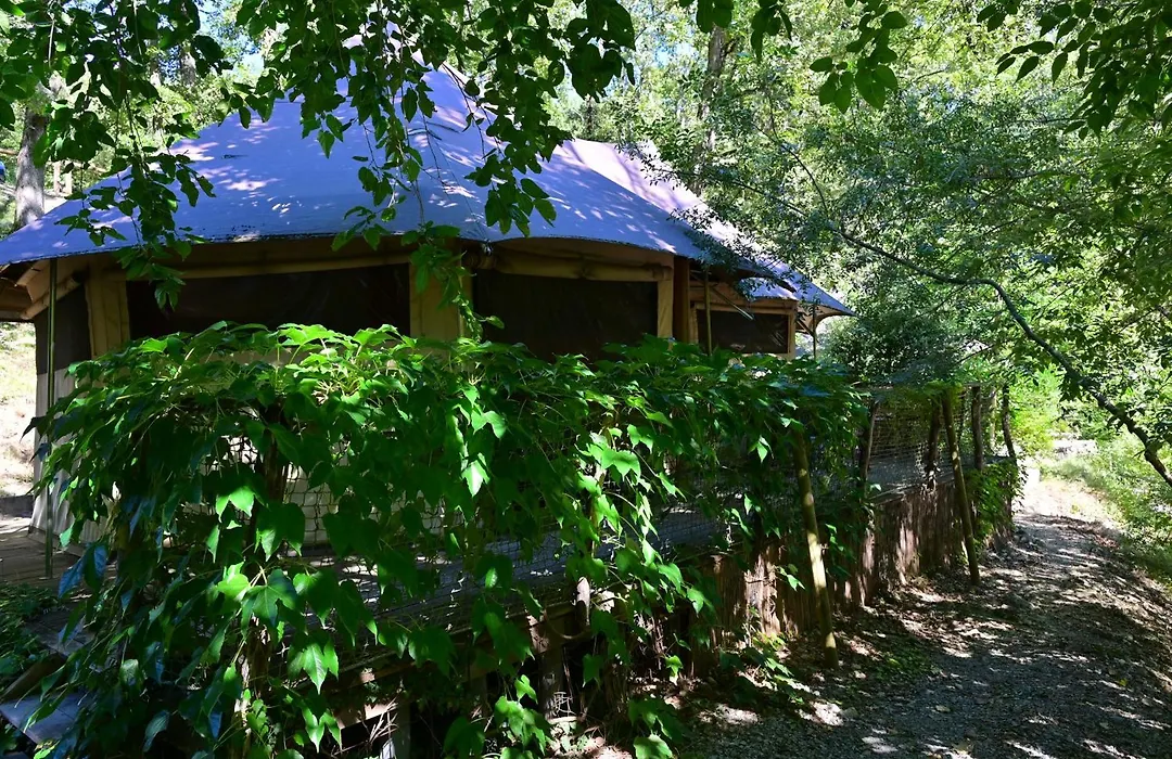 Prehistoric Lodge - Adult Only-1