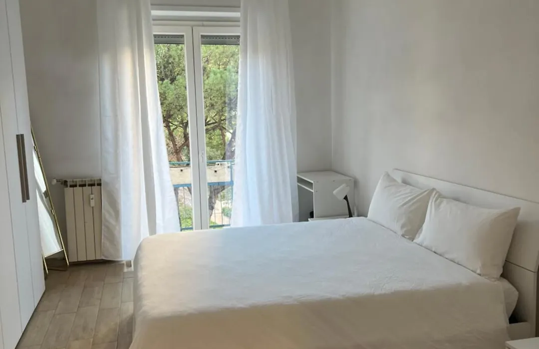 Dandon Home-1