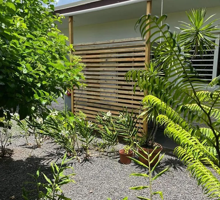 Pension Pare Lodge-1