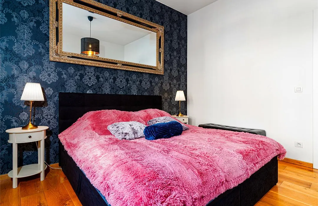 Golden Dog Suite-1
