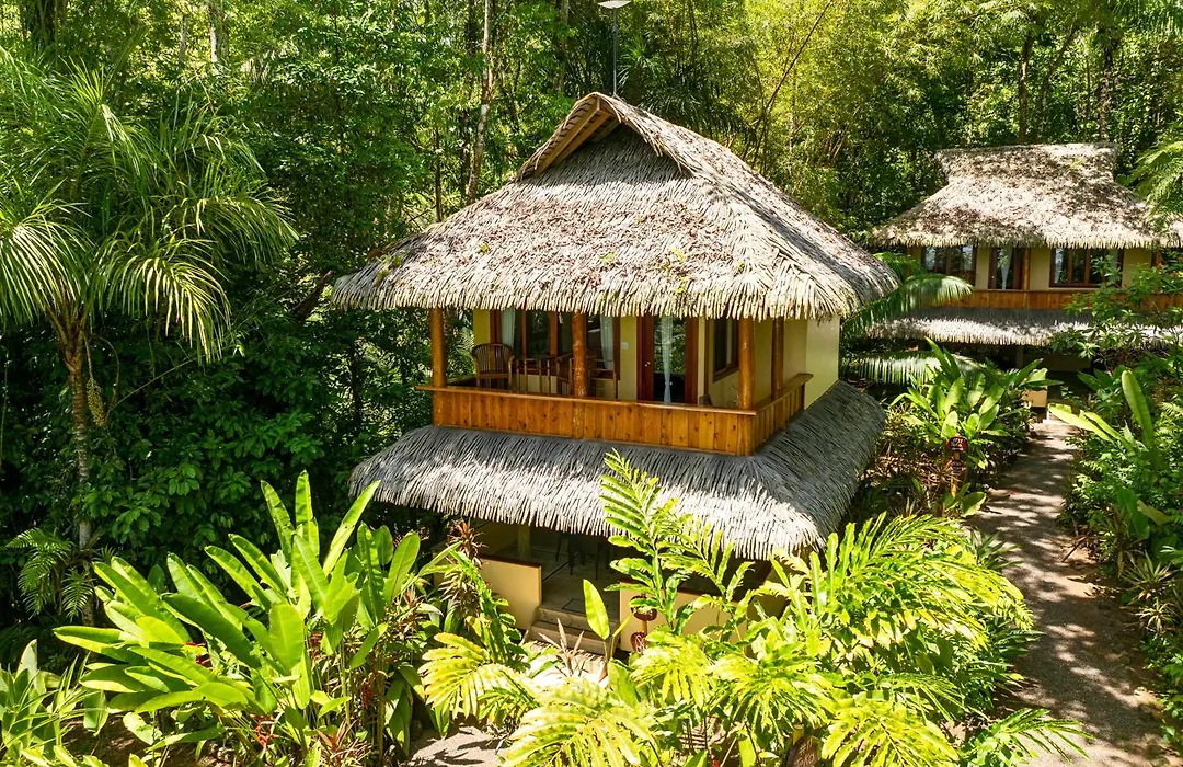 Copa De Arbol Beach & Rainforest Resort-1