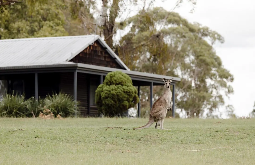 Palmers Lane Estate Hunter Valley-1