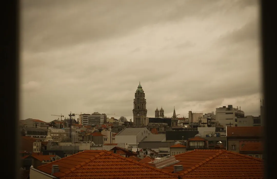 Cats Porto Hostel-1
