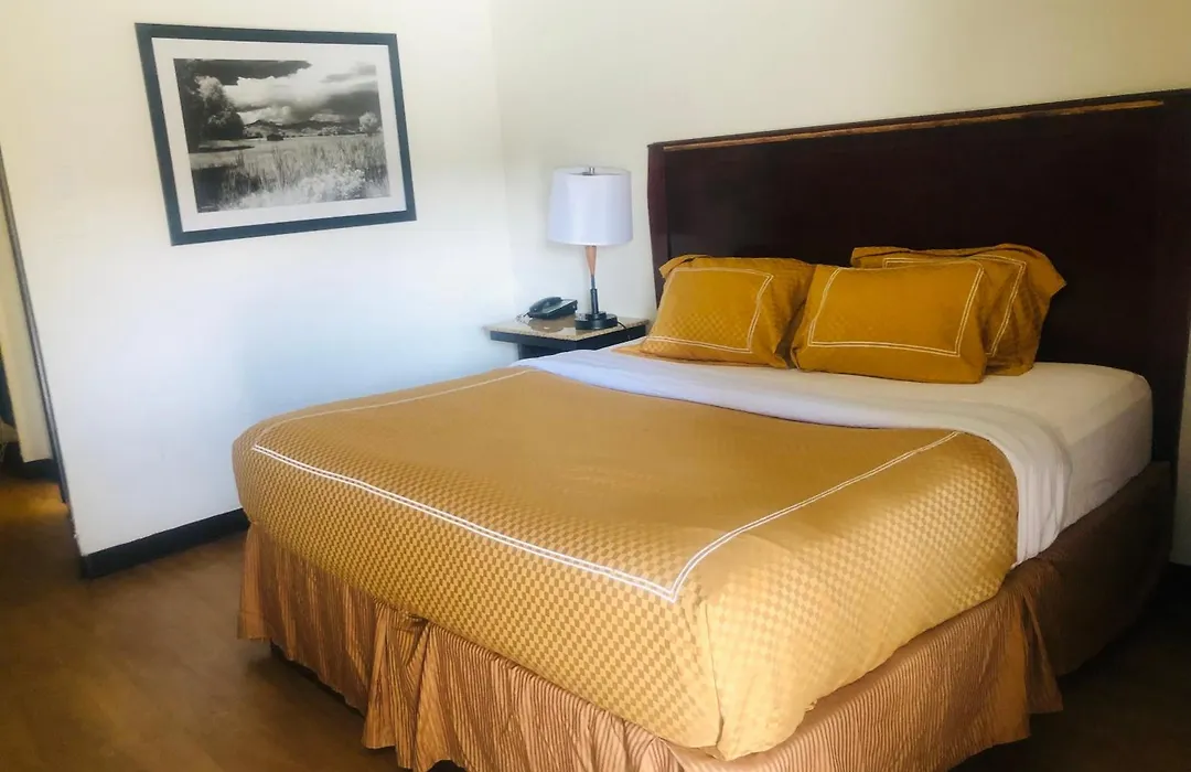 Budget Inn Denver Downtown-1