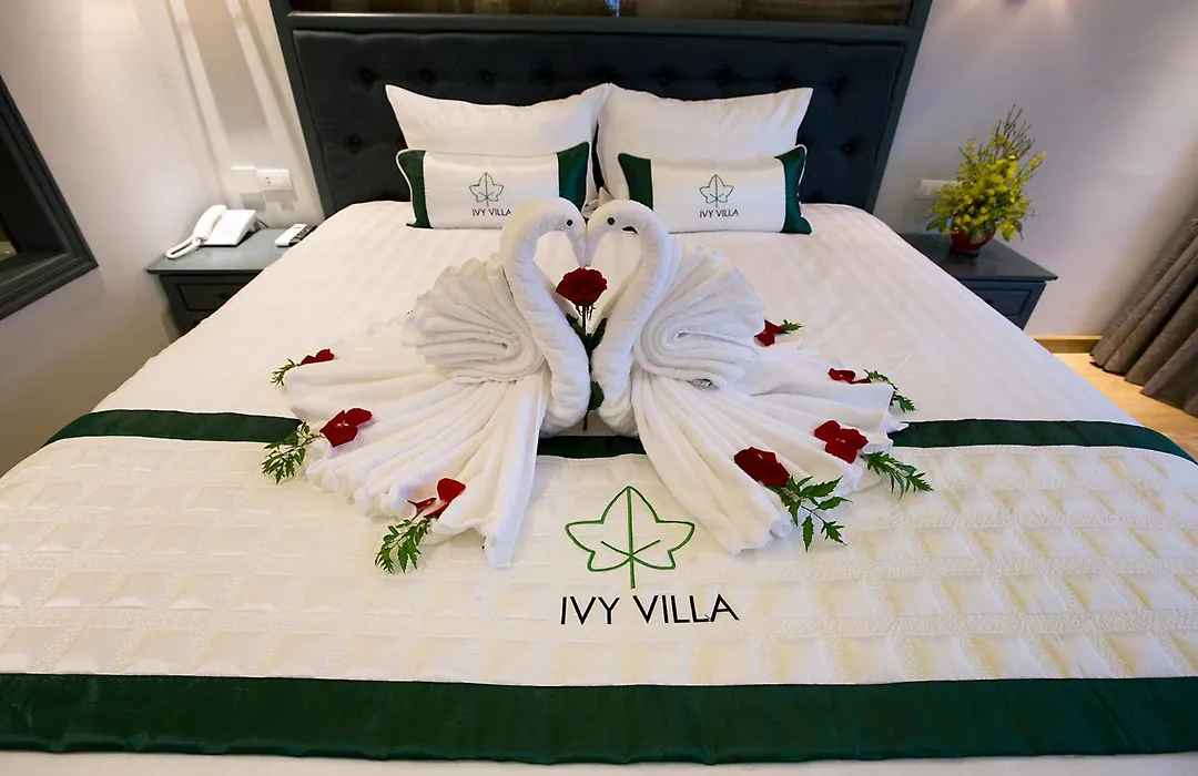 Ivy Villa-1