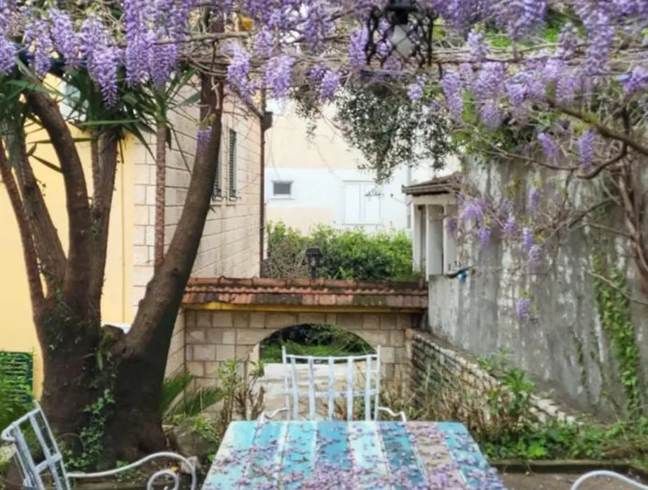 Studio Apartman-1
