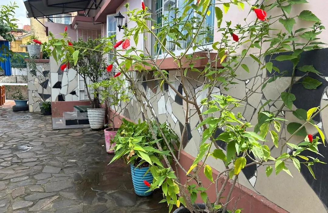 Tulipa Guest House-1