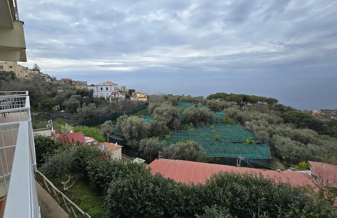 Hotel Il Nido Sorrento-1