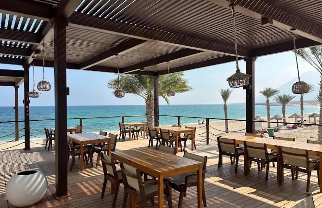 The Beach House-1