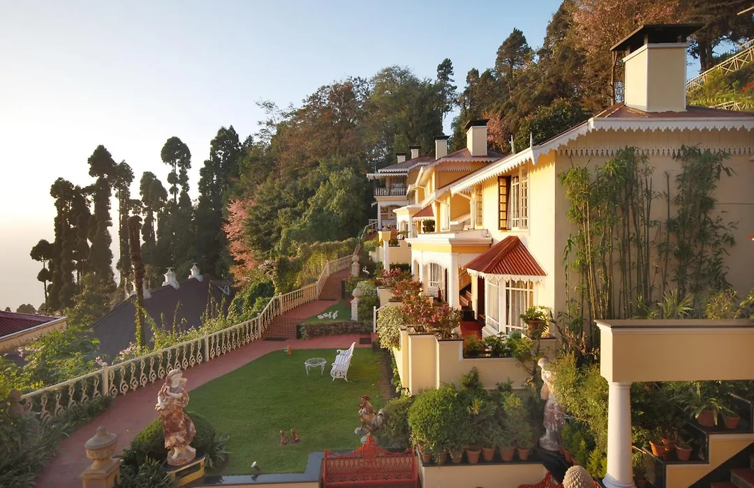 Mayfair Darjeeling-1