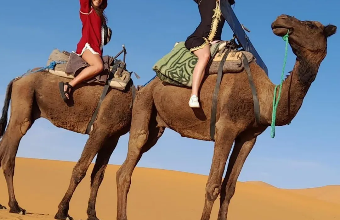 Traveling Luxury Camp-1