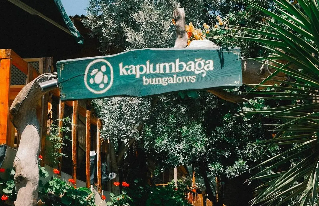 Kaplumbaga Bungalows-1