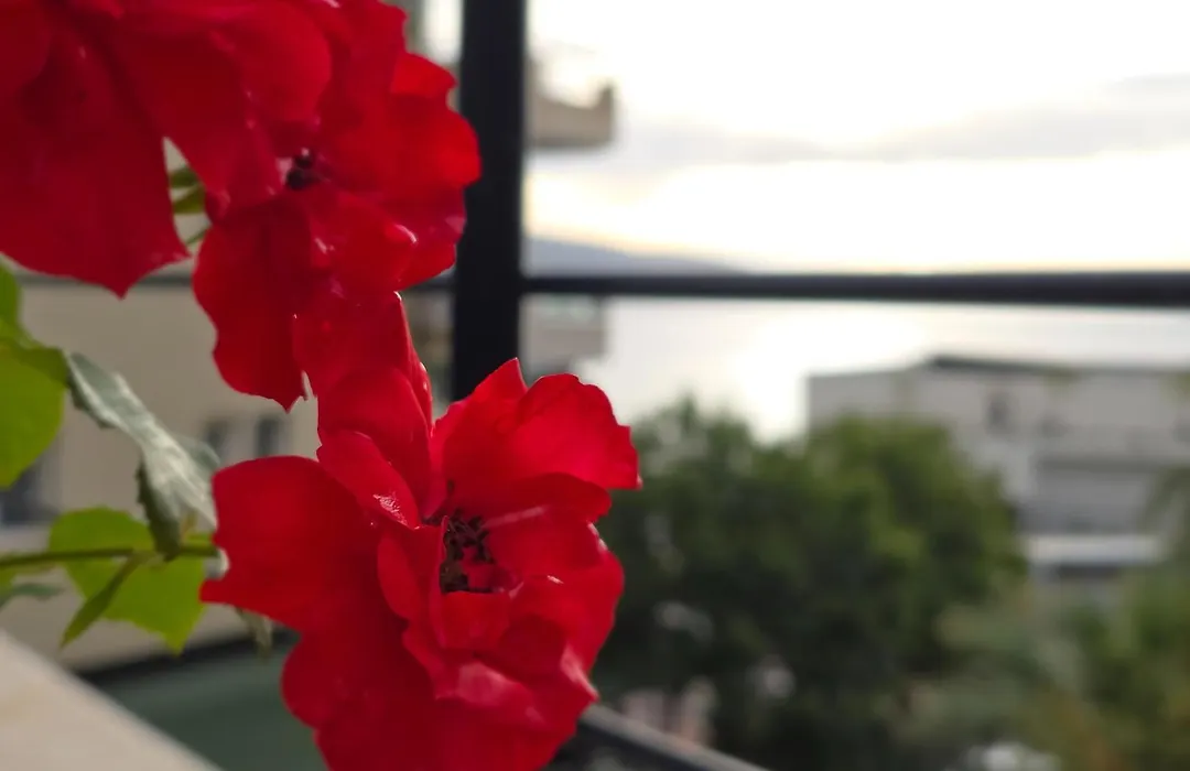 Valza Boutique Hotel-1