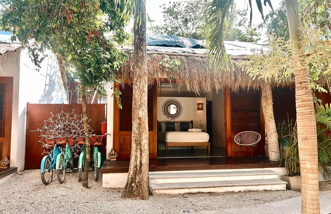 Mimosa Tulum-1