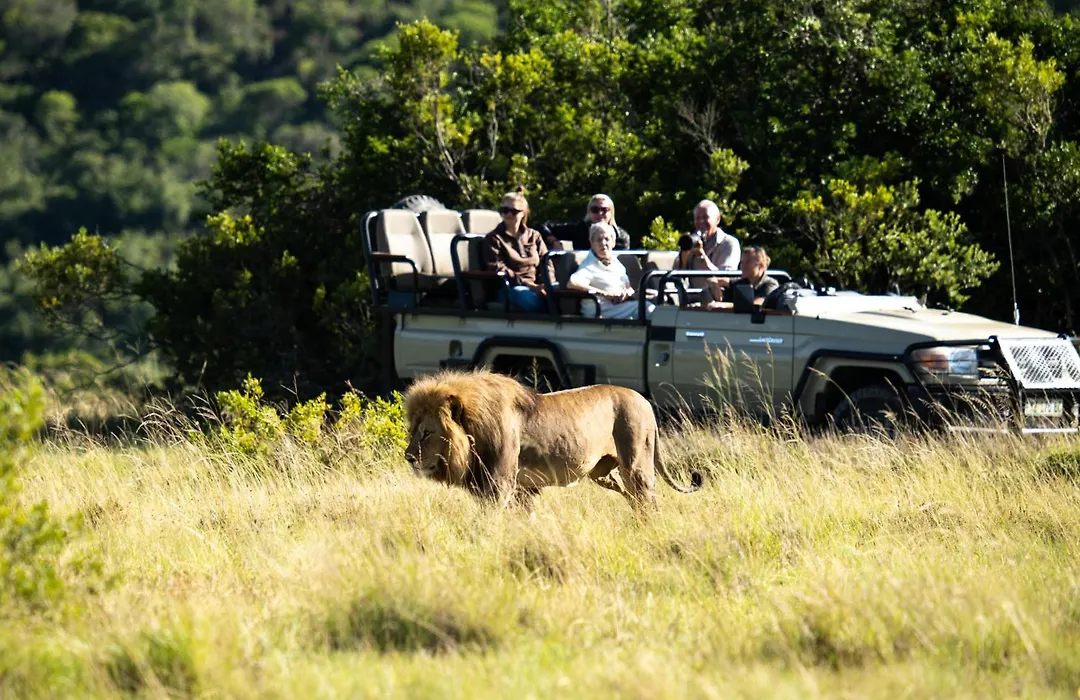 Lalibela Wildlife Reserve - Mark'S Camp Family Lodge-1