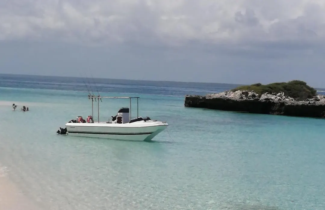 Jose Magalhaes Guest House & Accommodations-1