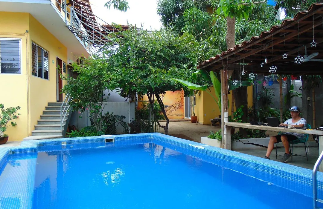 Paziflora Hostel -Starlink--1