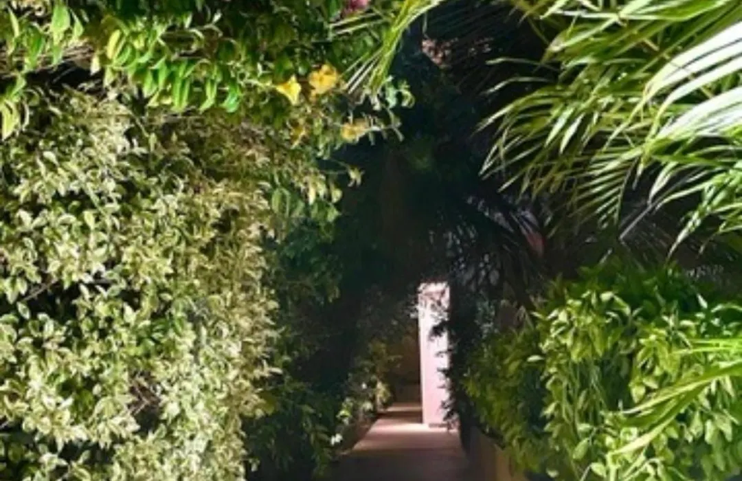 Villa Yemaya - Suite Bungalow Independant-1