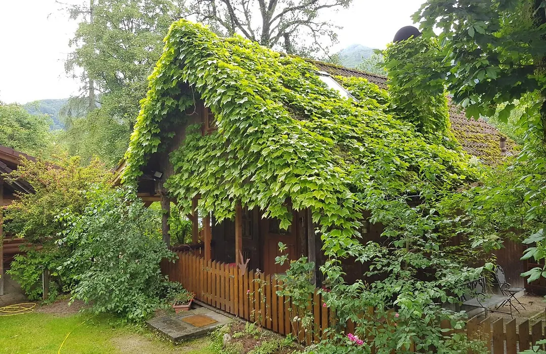 Steinschalerhof-1
