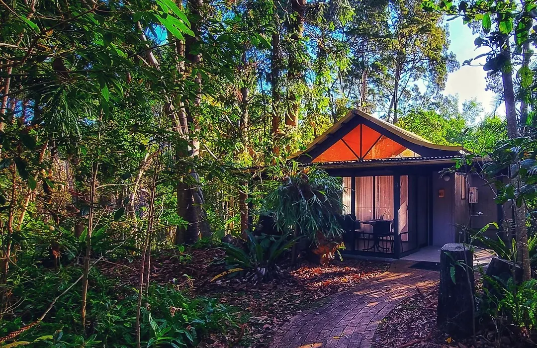 Byron Bay Rainforest Resort-1