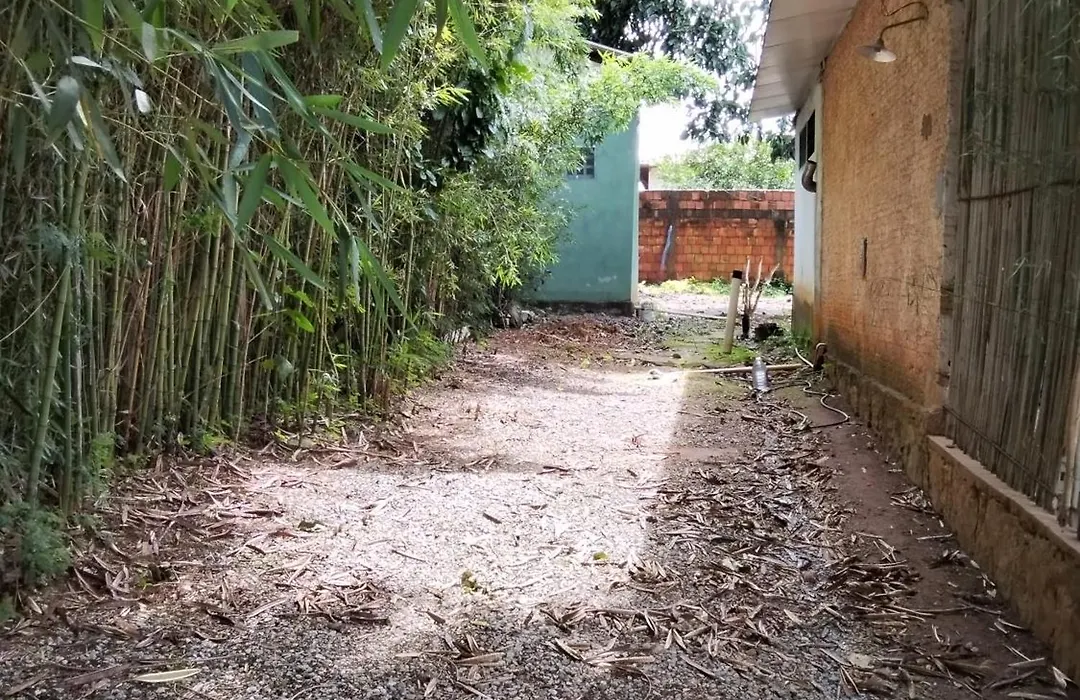 Estudio Bambuzal No Centro-1