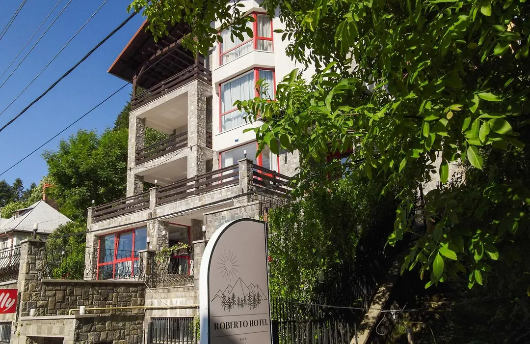 Hotel Roberto Sinaia-1