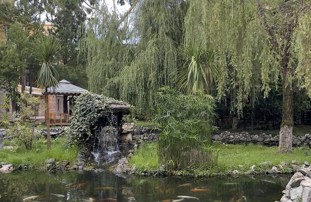 Dreamland Oasis Sea View Studio With Garden-1