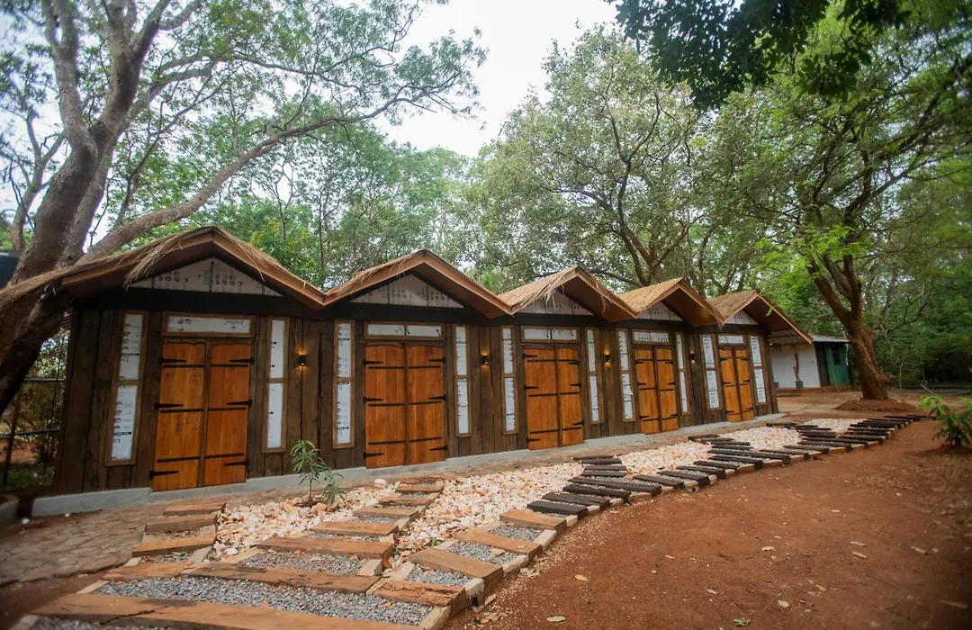 Funk Bunks - Sigiriya-1