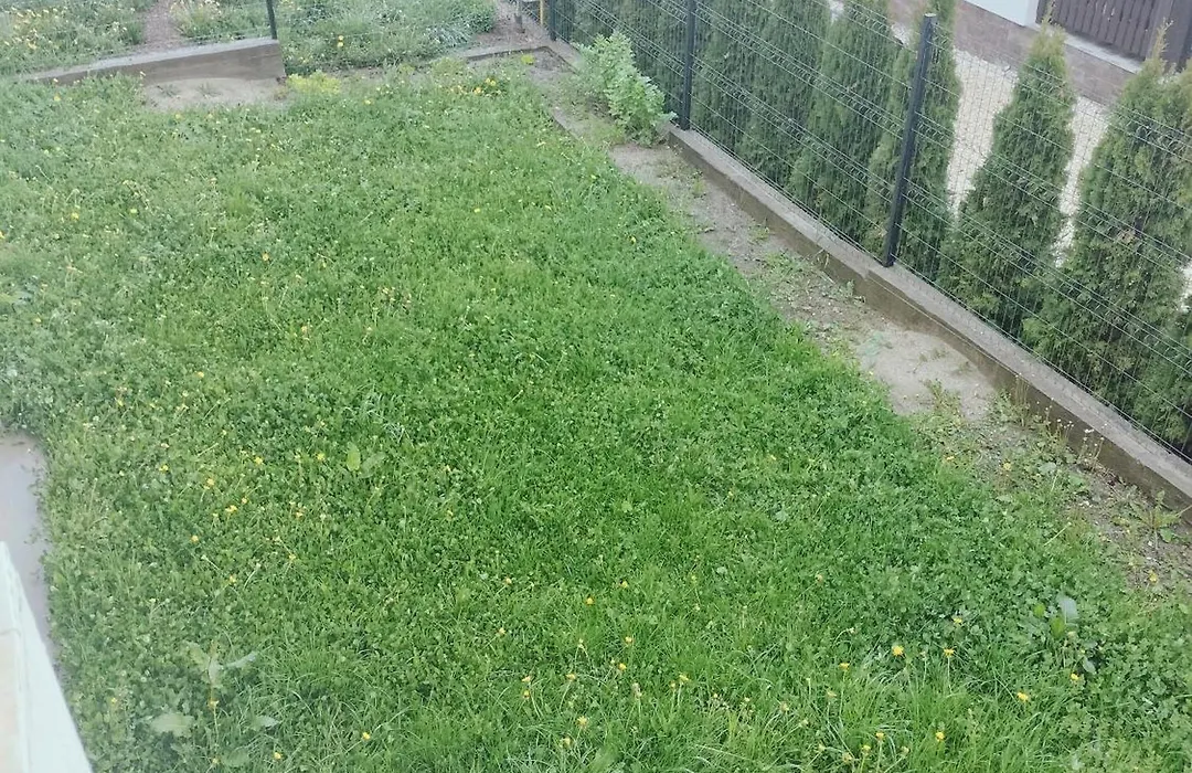 Vila Vlad-1