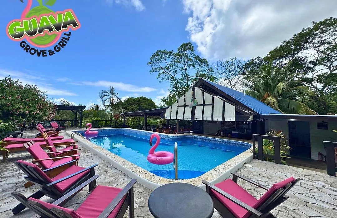 Guava Grove Resort & Villas-1