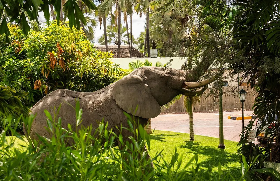 Maun Lodge-1