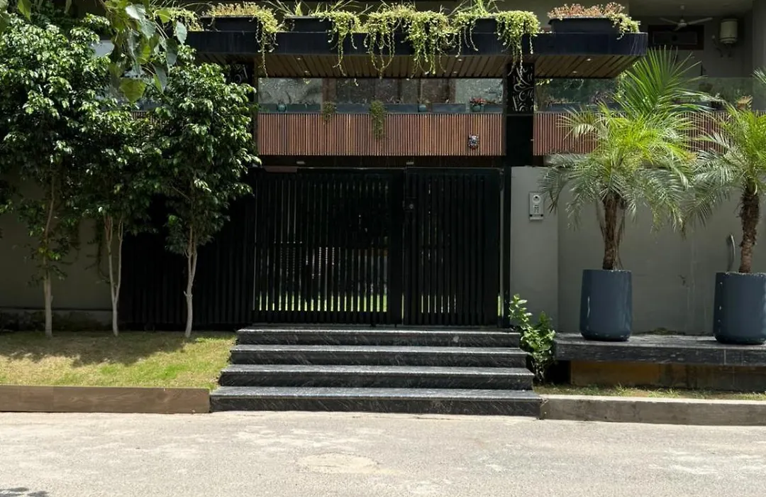 Cyber Vista-1