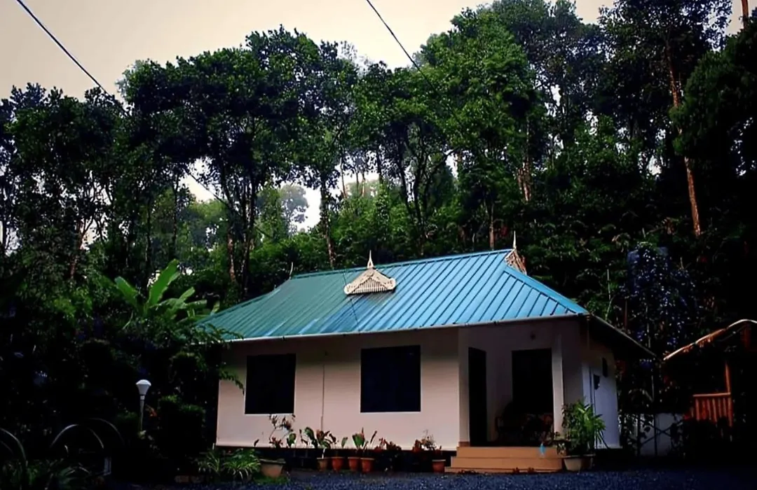 Mist Nest Munnar-1