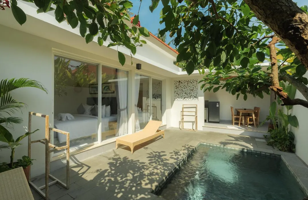 Odika Lovina Villas-1