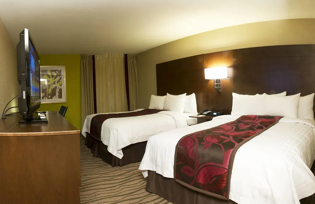 Fairfield Inn & Suites By Marriott Dallas Dfw Airport South/Irving-1