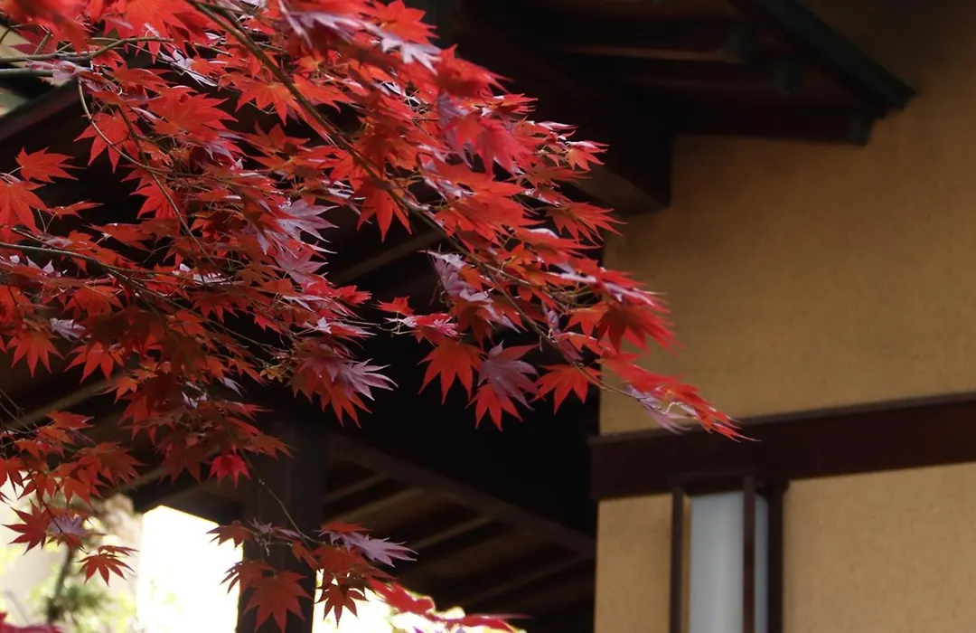 Ryokan Karasawa-1