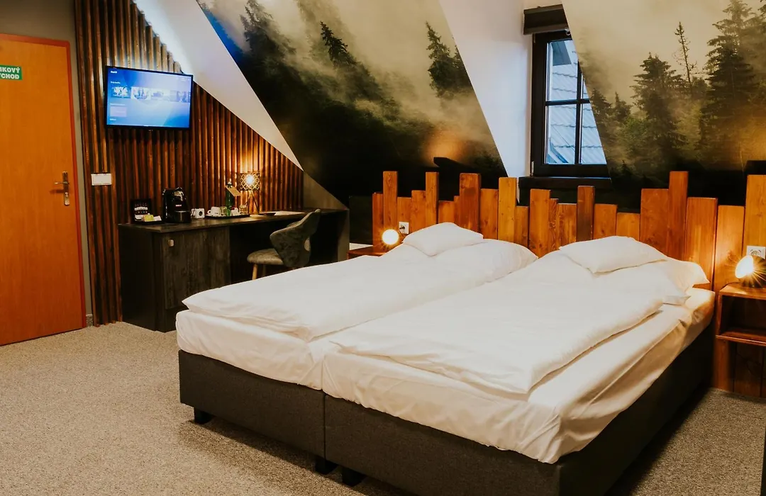 Wellness Hotel Liberecka Vysina-1