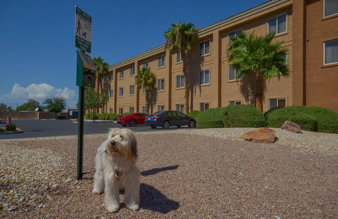 Holiday Inn Express Las Vegas-Nellis By Ihg-1