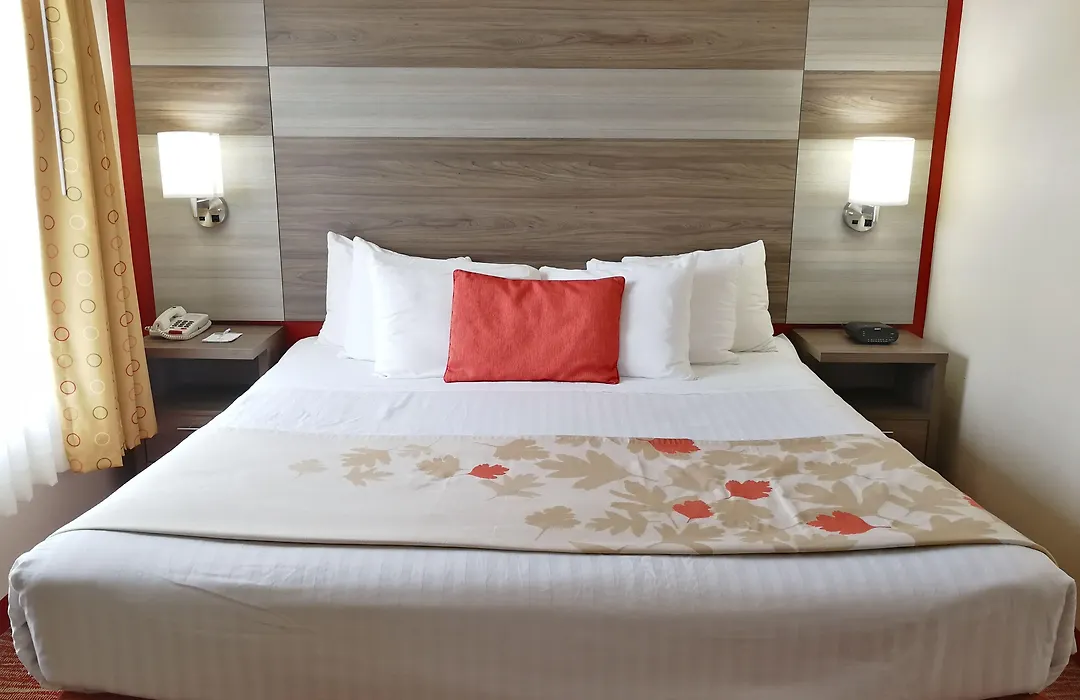 Hawthorn Suites Irving Dfw South-1