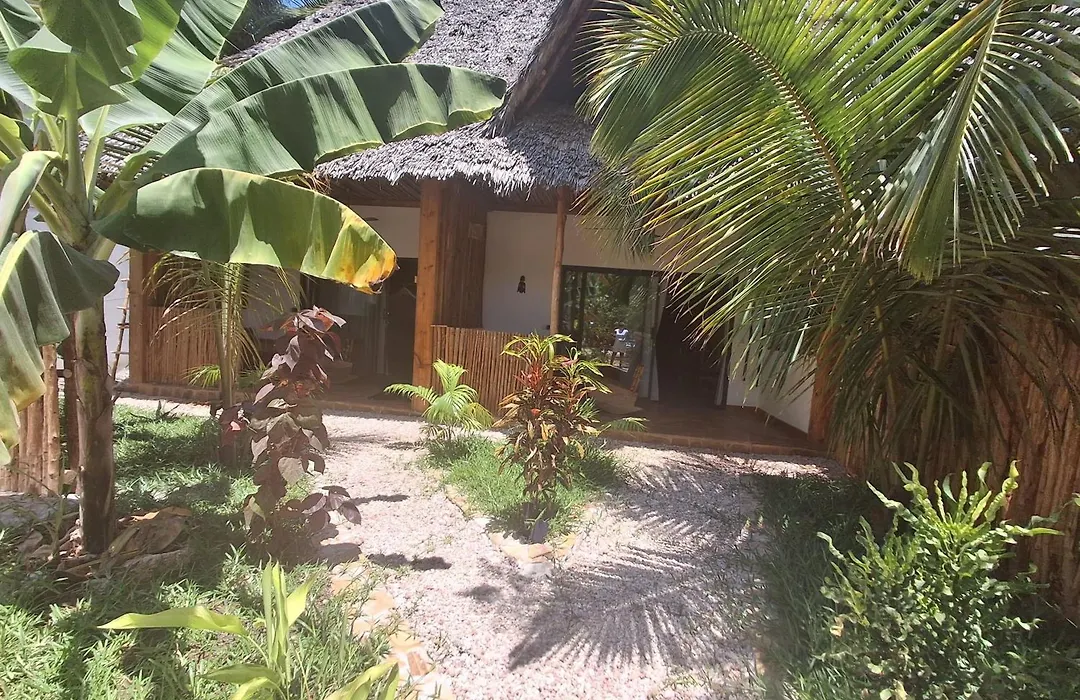 Zanzi-Barbar-Home-1