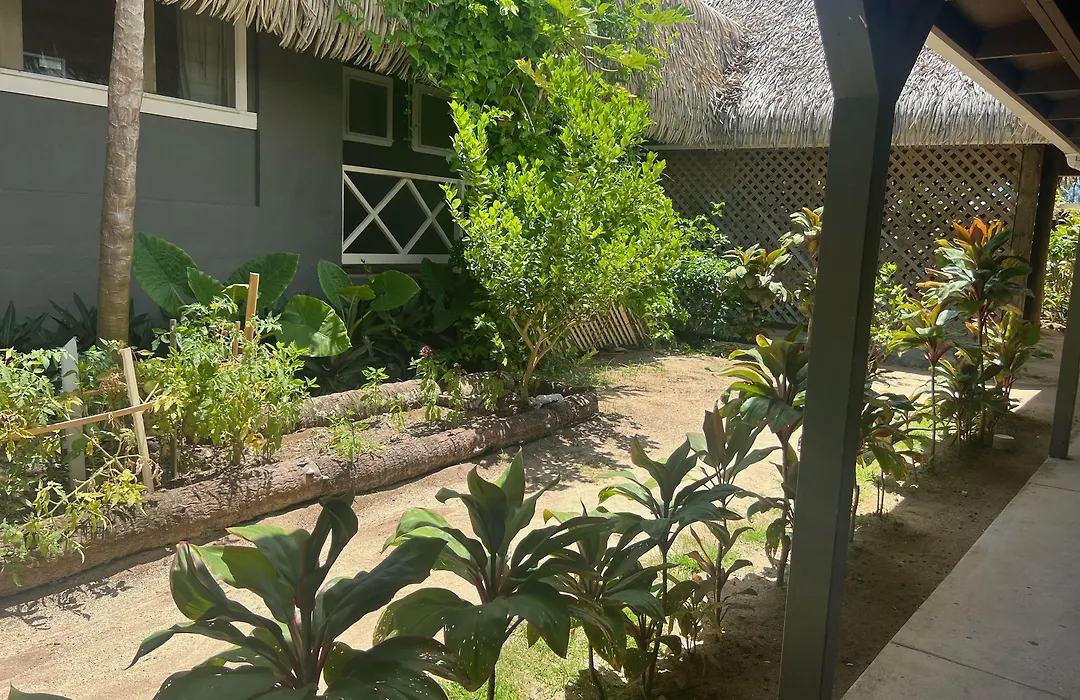 Club Raro Resort - Adults Only-1