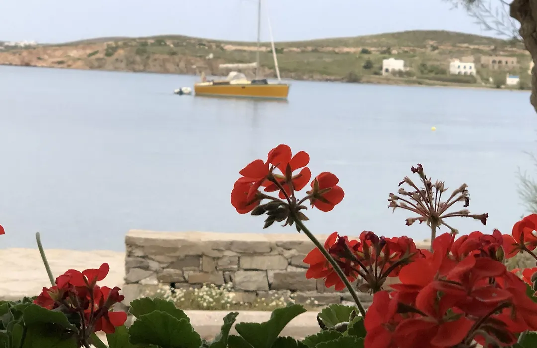 Paros Bay-1