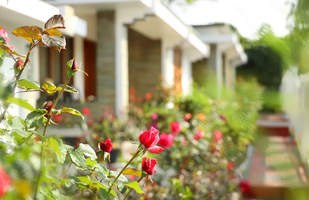 Elysium Garden-1