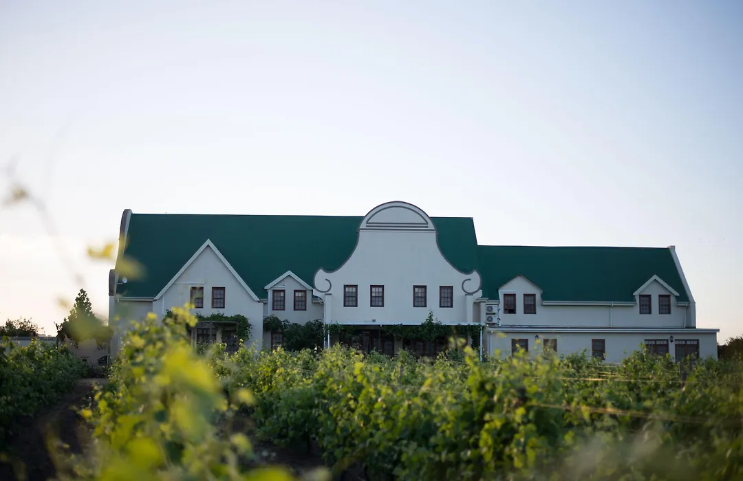 Cana Vineyard Guesthouse-1
