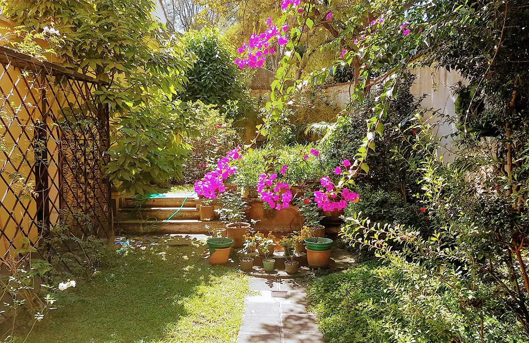 Casa Carmel Bed & Breakfast-1