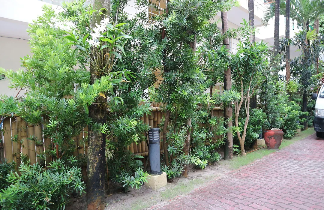 Jony'S Beach Resort-1