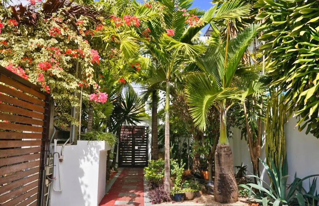 Villa Alizee Boutique Hotel - Ideal Couples & Pros - Rooftop-1